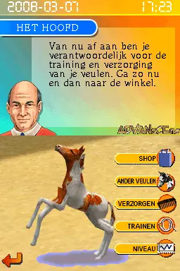 Image n° 3 - screenshots : Horsez